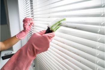 Blinds Cleaning