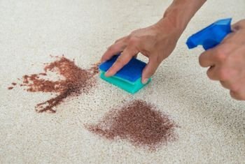 Blood Removal from Carpet