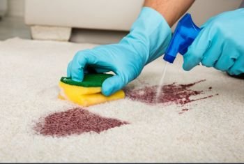 Carpet Stain Removal